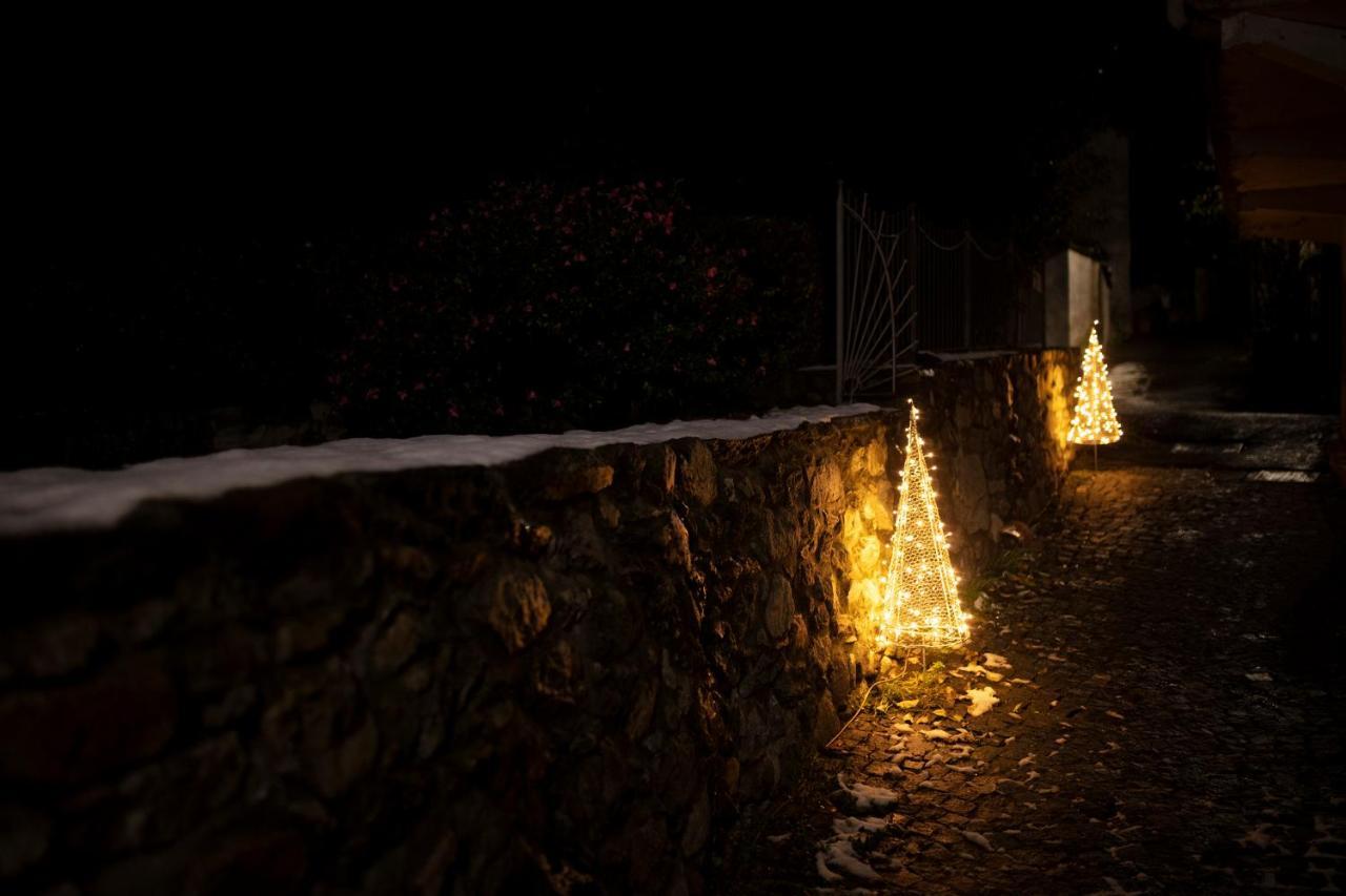 La Maison Des Vignerons Chambres D'Hotes B&B Donnaz ภายนอก รูปภาพ
